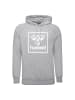 Hummel Kapuzenpullover Isam 2.0 in grau