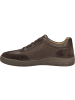 Josef Seibel Halbschuh Cleve 07 in braun