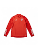adidas Trainingstop FCB FC Bayern München Tiro TR in Rot