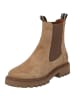 Palado Chelsea Boots Luctoria in Beige