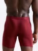 Erlich Textil  LIGHT TOUCH LANGE PANTS IM 3er PACK in bordeaux
