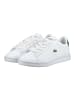 Lacoste Sneaker CARNABY SET Weiß/Grün