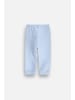 Coccodrillo Jogginghose in hellblau