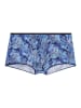 HOM Hipster Short / Pant Barrett in Blue print