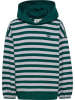 Hummel Kapuzenpullover Hmljr Conelly Lebensstil Kinder in FOREST BIOME