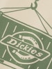 Dickies T-Shirt Apison in sand