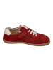 KOEL Sneaker Low DECLAN SUEDE in rot