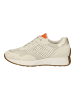 Paul Green Sneaker in Creme