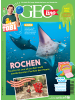 meinabo.de Gutschein: 15 Ausgaben GEOLINO