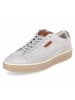 Bullboxer Sneaker in grey
