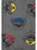 Paw Patrol Paw Patrol Hoodie Kapuzenpullover in grau
