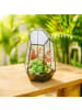 relaxdays Pflanzenterrarium "geometrisch" in Schwarz - (B)18 x (H)26 x (T)15 cm