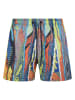 Carlo Colucci Carlo Colucci Shorts in petrol