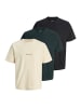 Jack & Jones T-Shirt Norrebro in Schwarz / grau / beige