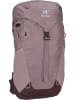 Deuter Wanderrucksack AC Lite 14 SL 2022 in Grape/Aubergine