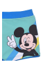 Disney Mickey Mouse Badehose Shorts in Grün