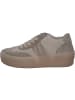 Gabor Fashion Schnürschuhe in Beige