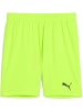 Puma Sporthose "TeamGoal Shorts" in Grün
