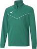 Puma Pullover "TeamRISE 1/4 Zip Top Jr" in Grün