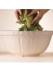 Mason Cash MASON CASH | Rührschüssel, MIXING BOWL, creme, 4 L