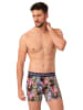 Muchachomalo 2er-Set: Boxershorts in Multicolor/Grey/Black/Blue