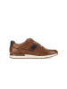 Pius Gabor Sneaker low in braun