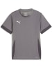 Puma Sportshirt "TeamGoal Matchday Jersey jr" in Grau
