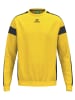 erima Kinder Sweatshirt GK in gelb/schwarz