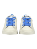 Steve Madden Sneaker in Weiß/Blau