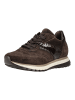 Gabor Sneaker in Mocca