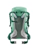 Deuter Futura 30 SL in Grün2010