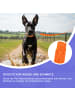 Reichstadt RS Pets Hundeleine PVC in Orange