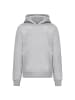 F4NT4STIC Hoodie Escape Discover the World Mountain in grau meliert