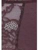 s.Oliver Panty in cassis