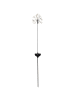STAR Trading LED Solar-Leuchtstab ,Firework', 92 LEDs, kleine Feuerwerks-Krone, war