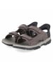 Skechers Sandalette in brown