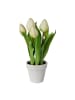 Creativ green Deko-Tulpen im Keramiktopf in weiß