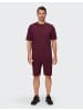 Joy Sportswear T-Shirt LOUI in redwood