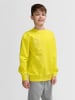 Hummel Sweatshirt Hmlgo Kinder in BLAZING YELLOW