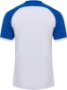 Hummel T-Shirt "Match League Jersey S/S" in Weiß