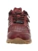 Cetti Sneaker für Herren in bordeaux