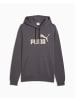 Puma Sweatshirt in bunt