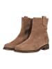 Gabor Stiefelette in Nut
