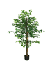 HOMCOM Künstliche Ficus-Pflanze in Hellgrün 15L x 15B x 150H cm
