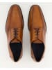 LLOYD Business Schuhe in Braun