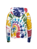 Champion Kapuzenpullover Hooded in multicolor