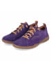Josef Seibel Schnürhalbschuh in purple
