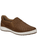 Josef Seibel Slipper Caren 72 in beige
