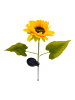 näve 2er-Set Solarspieß "Sonnenblumen" h: 78,5cm