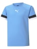 Puma Sportshirt "TeamRISE Jersey Jr" in Blau